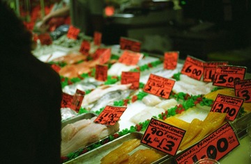 IMG10.jpg