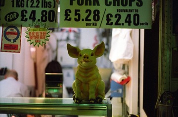 IMG13.jpg