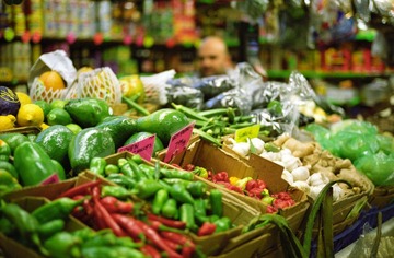 IMG15.jpg