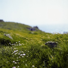 cornwall0001.jpg