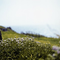 cornwall0002.jpg