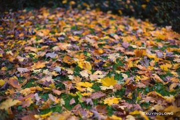 L1003055 副本.jpg