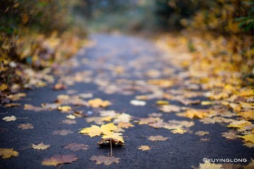 L1003076 副本.jpg