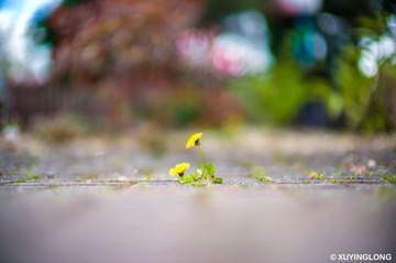 L1017530 副本.jpg