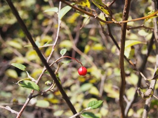 P1011610