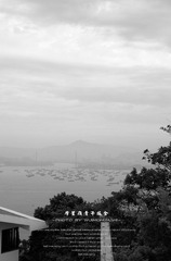 5寸 (1)