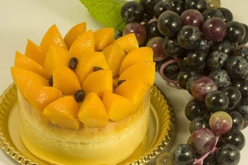 IMG_2525xx