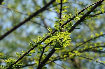 DSC00799_