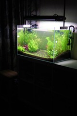 aIMG_7307