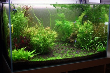 aIMG_7413