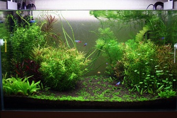 aIMG_7415