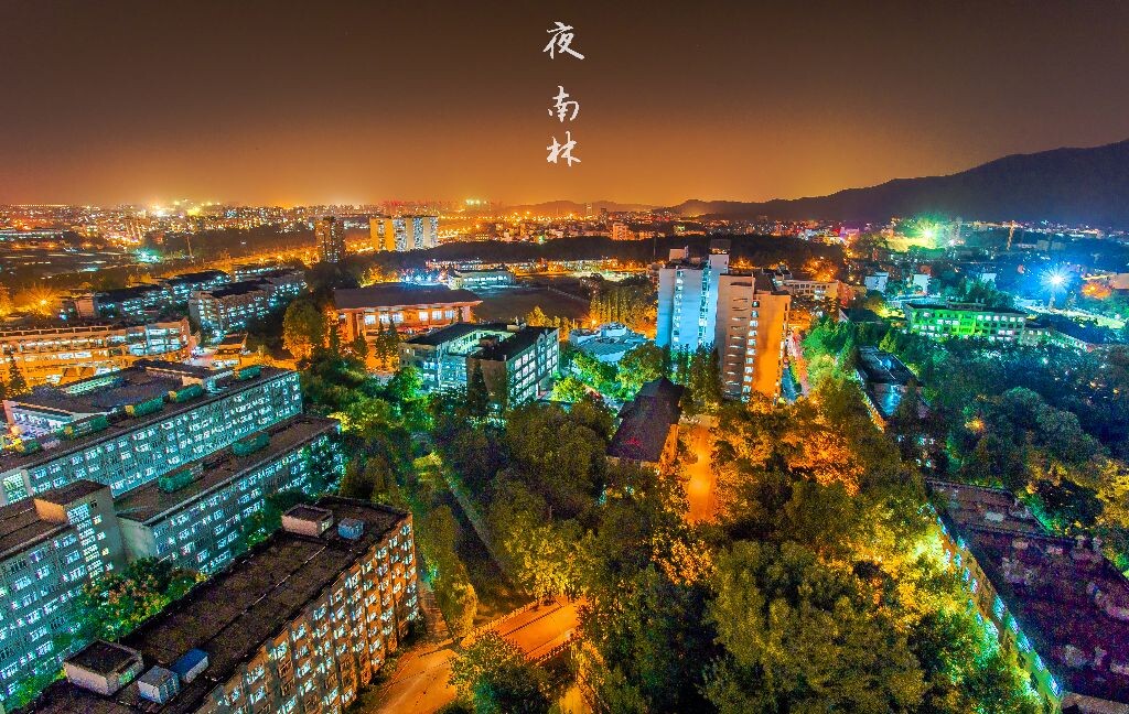 大半个南林俯瞰，教五、逸夫楼、体育馆、新老图书馆、木工院、新食堂、各个宿舍、玄武大道、还有一点点紫金山。