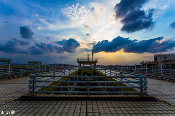_MG_2486-3
