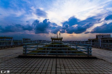 _MG_2504-5
