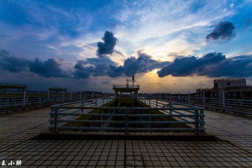 _MG_2495-1