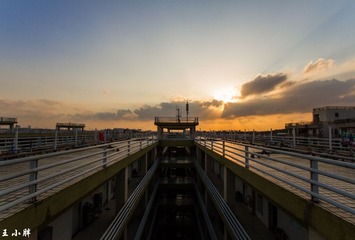 _MG_2582-1