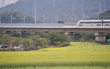 D7D915E5-464C-4328-97CC-C4608CFECC7D/L0/001