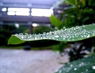 MA201407140820270056-01-000000000