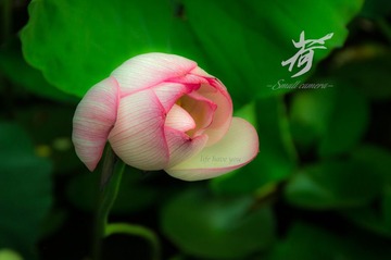 IMG_1122-1_