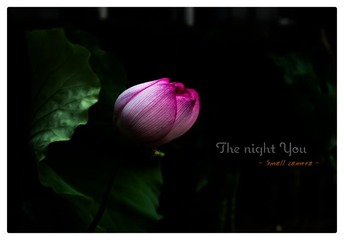 IMG_1160-1_