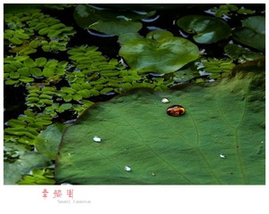 IMG_1389-1_