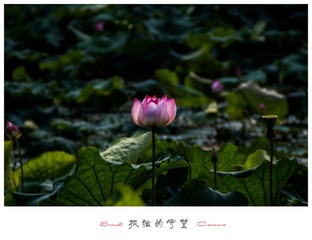 IMG_1394-1_