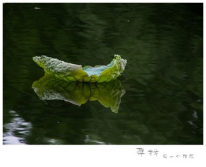 IMG_1456-1_