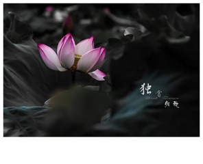 IMG_1547-1_