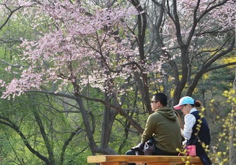 盎然春意