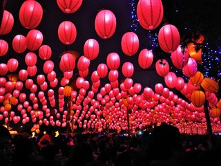 台湾灯会在苗栗