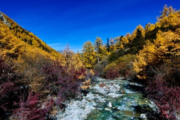 SDIM4685