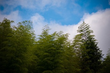 LIB_3831