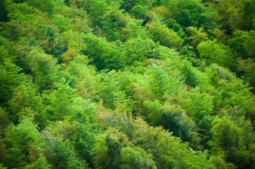 LIB_3846