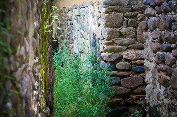 LIB_3910