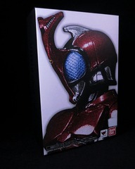 shd (1)