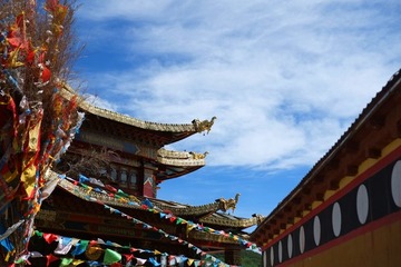 DSCF0110_