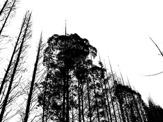 IMG20150107154416_1