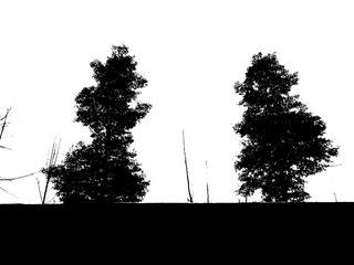 IMG20150107154306_1