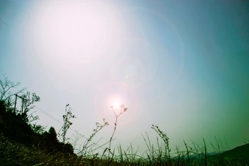 早春