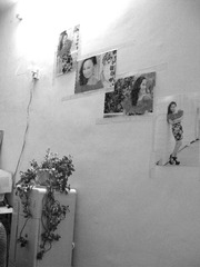 IMG_3746_meitu_17