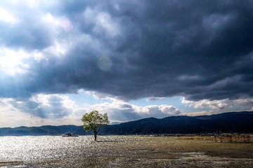DSCF9202-1