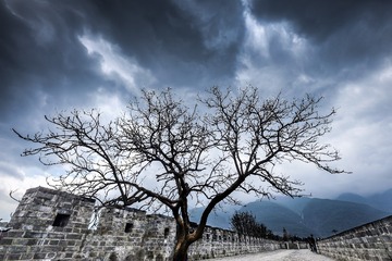 DSCF6339-1