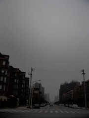 城市路