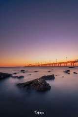 海