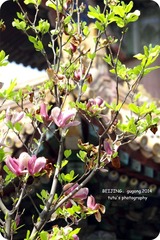 IMGP2857_