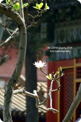IMGP2874_