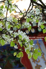 IMGP2879_