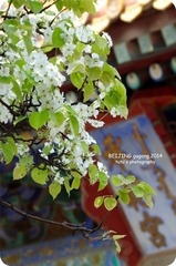 IMGP2880_