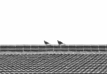 IMG20160711154058-01