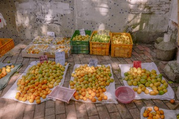 P1020110